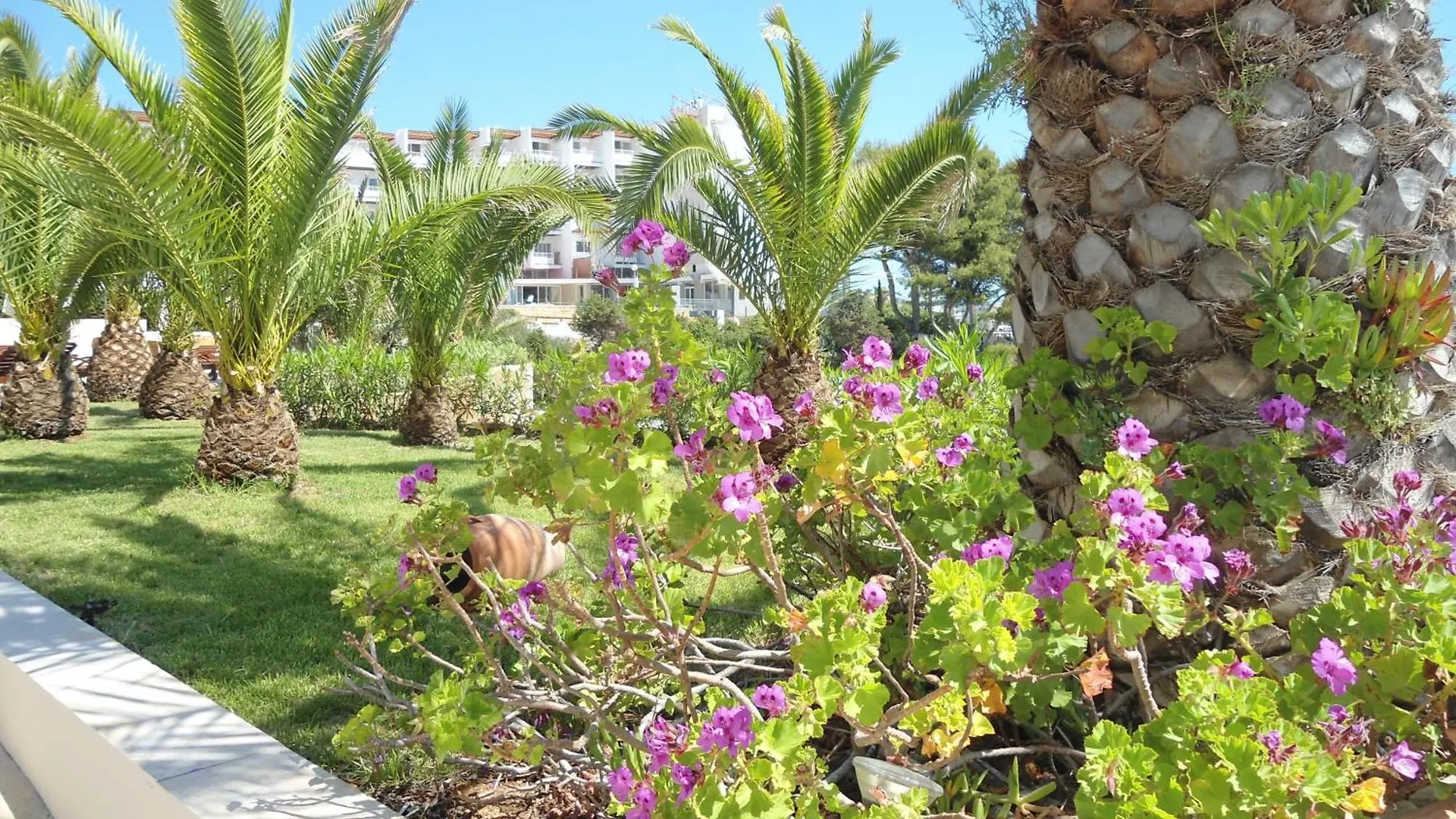 Grand Hotel Palladium Santa Eulalia Del Rio 5*, Santa Eularia des Riu Spain